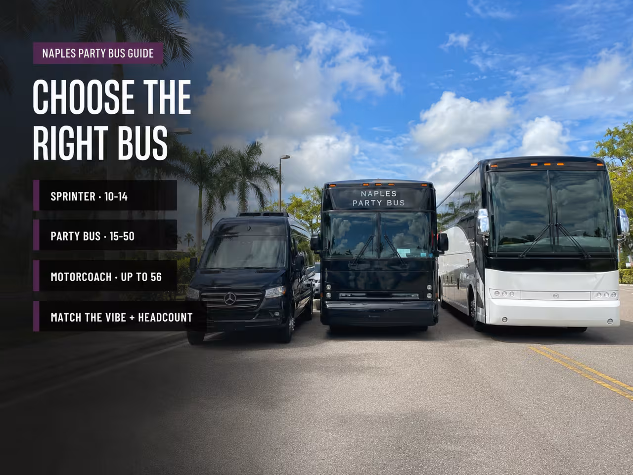 Charter buses and party buses lined up for a group to choose from