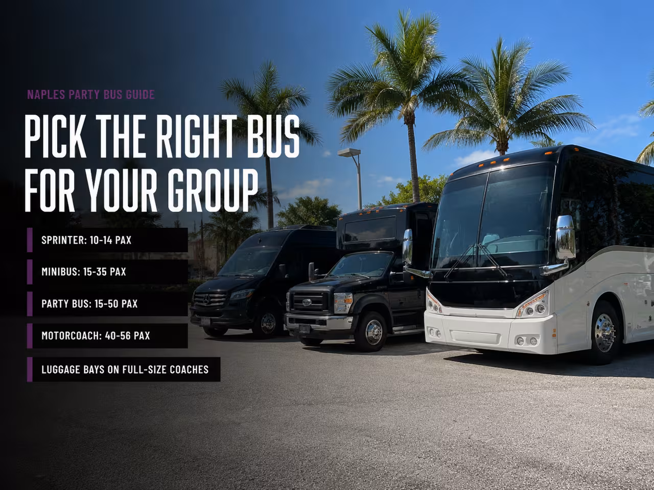 Party bus and charter bus options sized for a group heading to JetBlue Park
