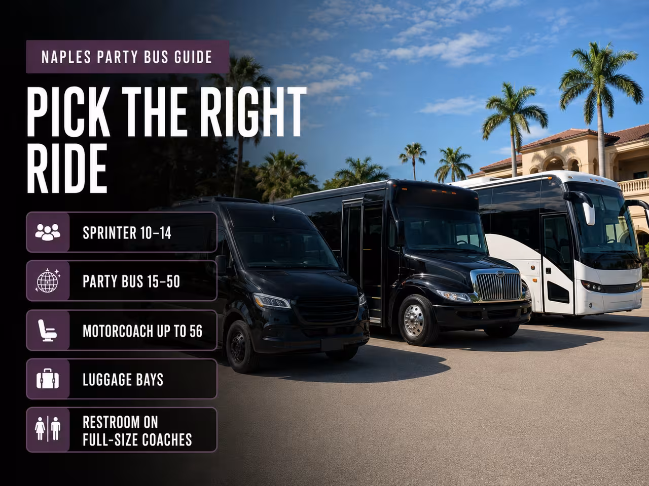 Party bus and charter bus options lined up for a pickleball group