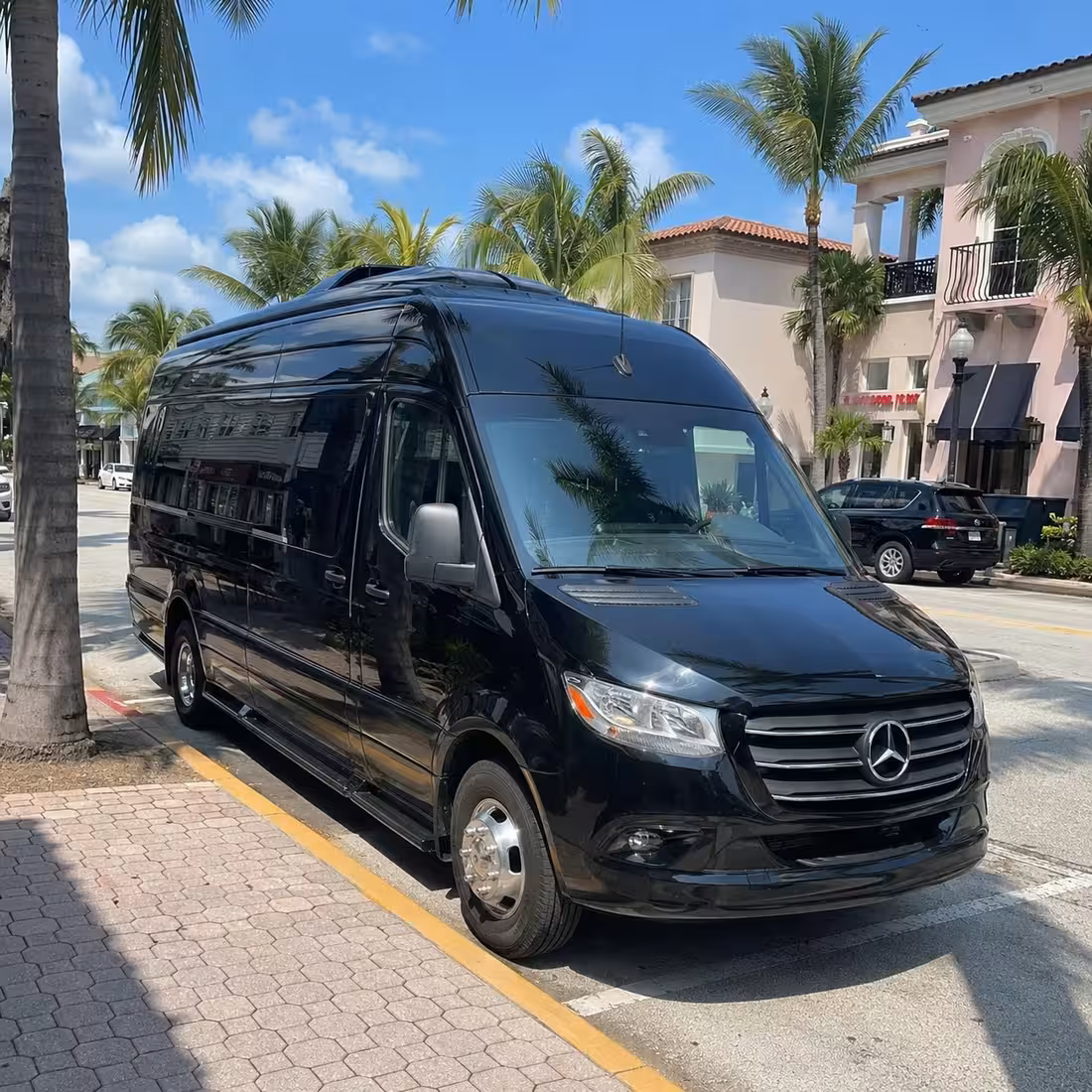 14 Passenger Sprinter Limo Exterior